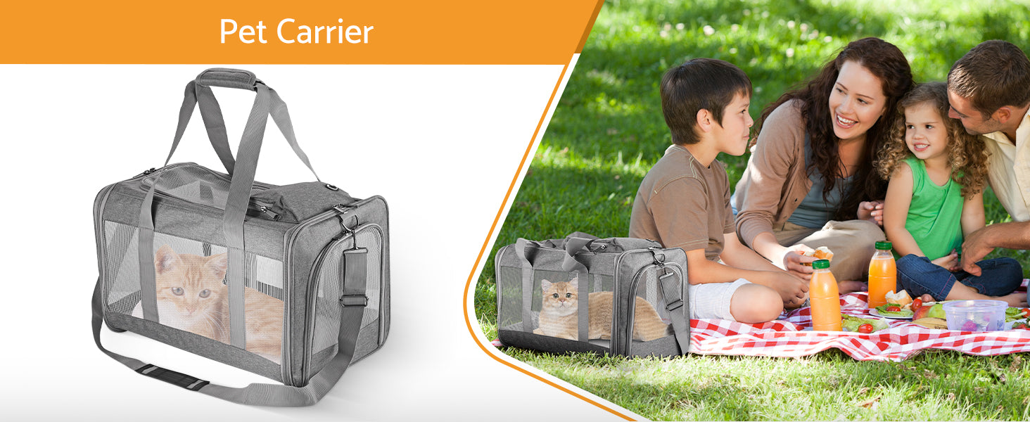 Pet carrier with a family and cat enjoying a picnic outdoors