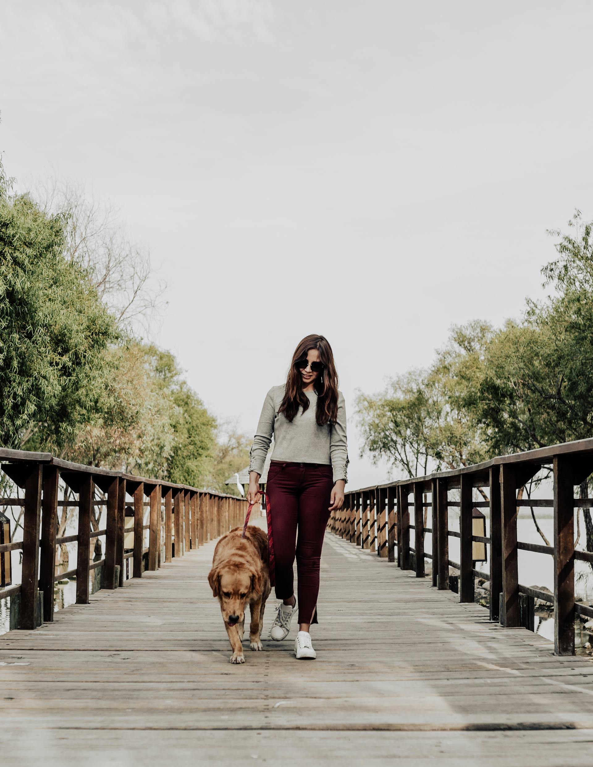 Woman walking a dog on a wooden boardwalk with trees in the background