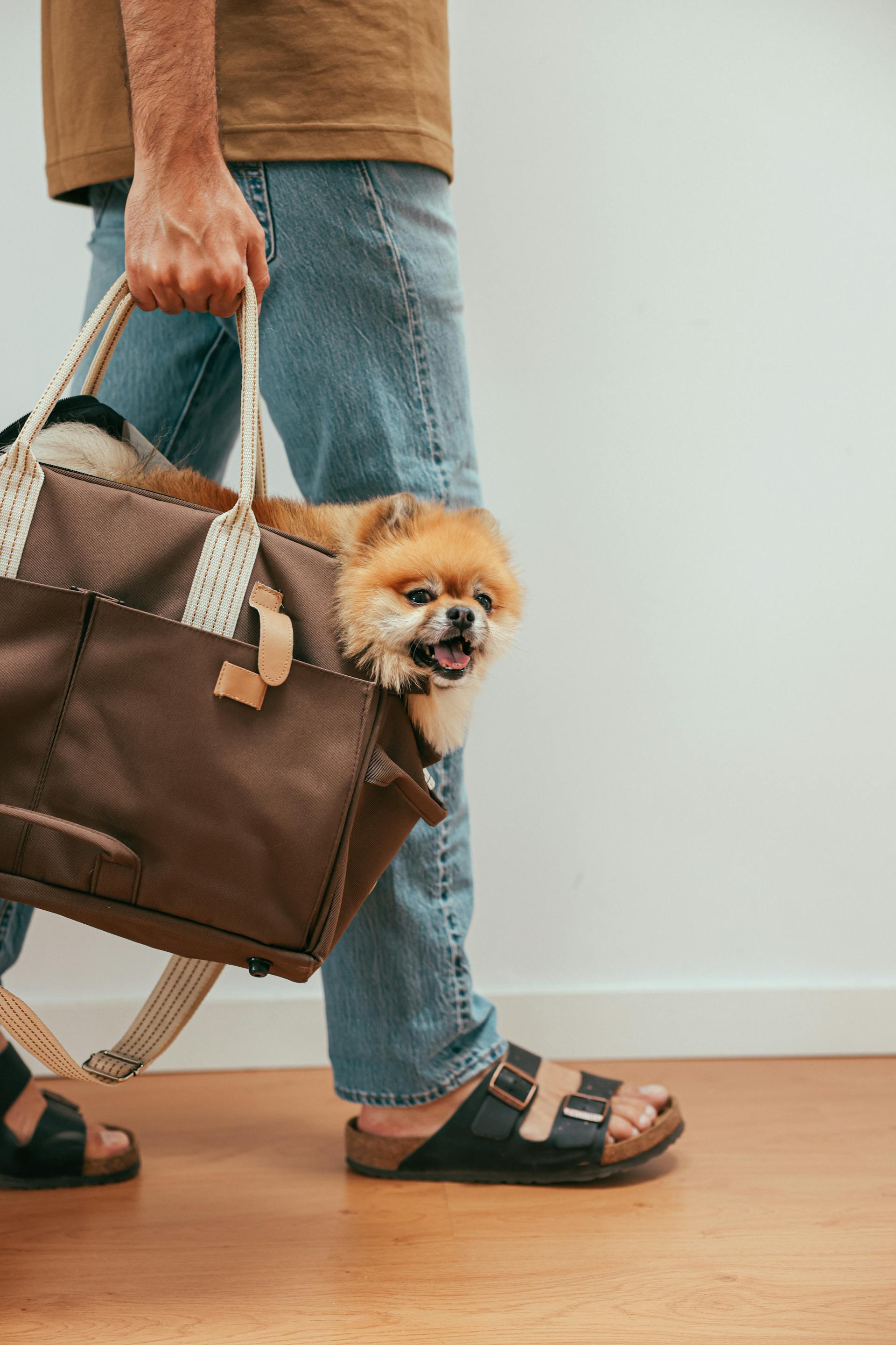 Person holding a brown tote bag with a small dog peeking out, on a wooden floor.