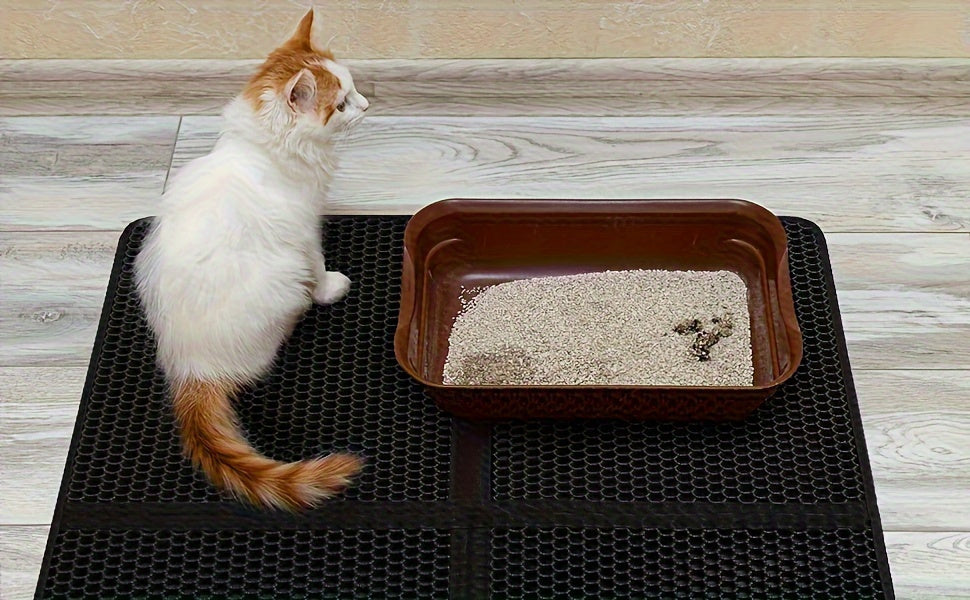 Cat standing next to a cat litter box on a mat with visible litter.