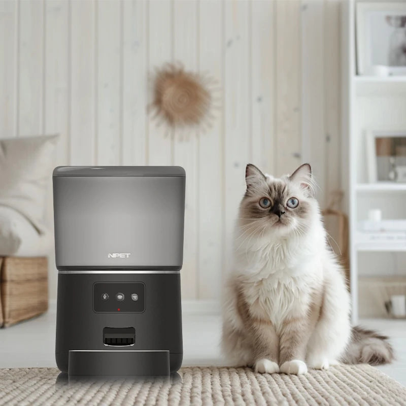 Cat sitting next to a humidifier in a home setting