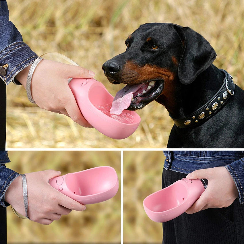 Person holding a pink pet water bowl for a black dog outdoors.