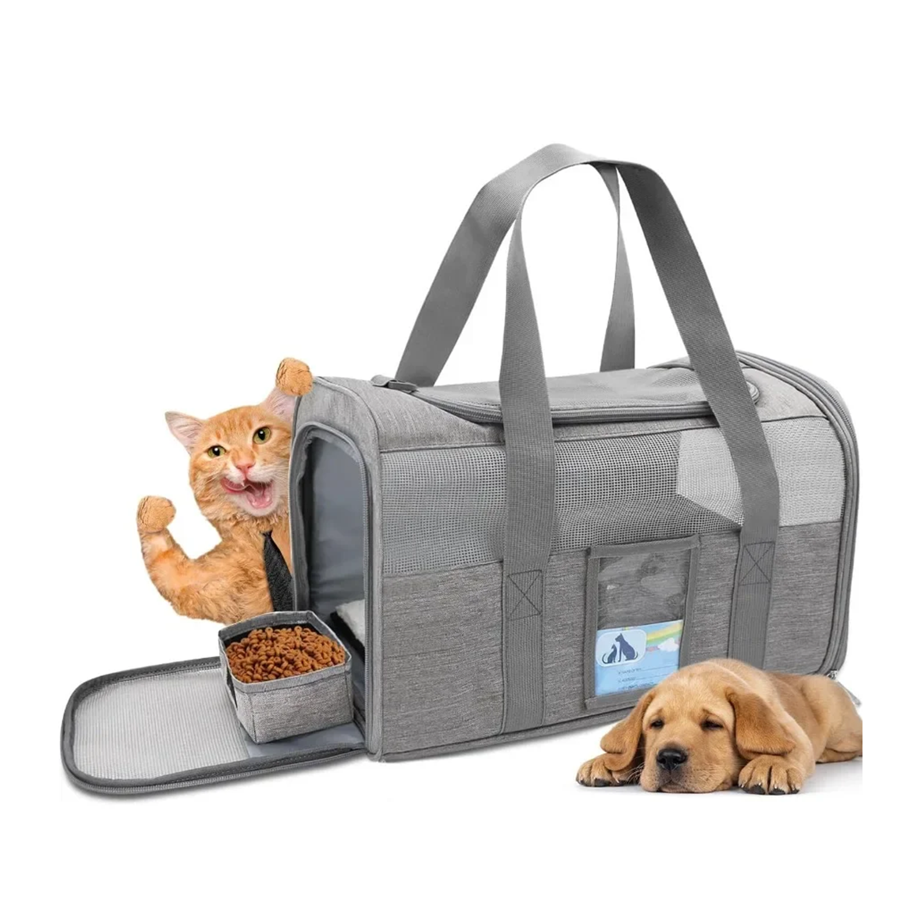 gray pet carrier with fold out food tray