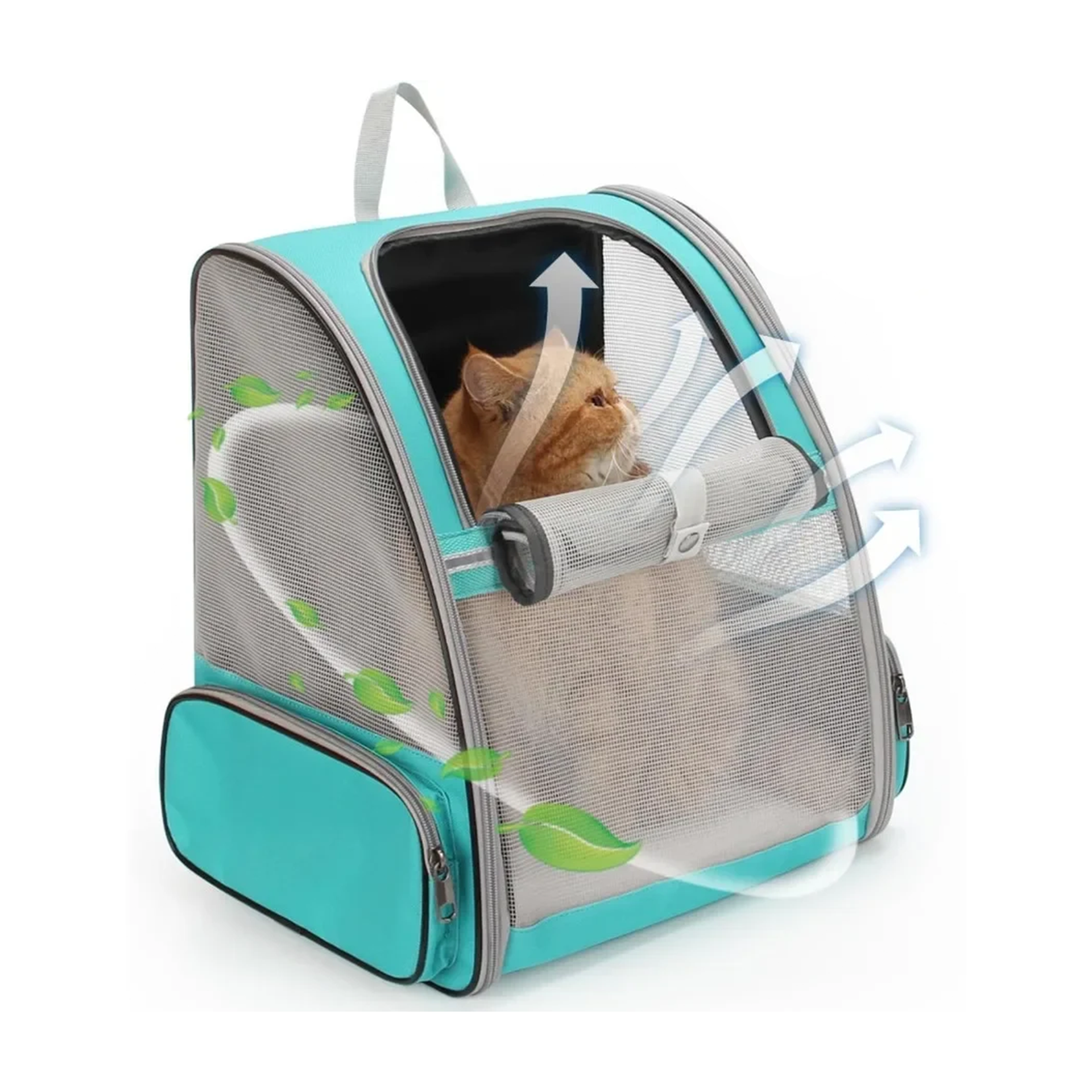 Pet carrier with a cat inside on a white background