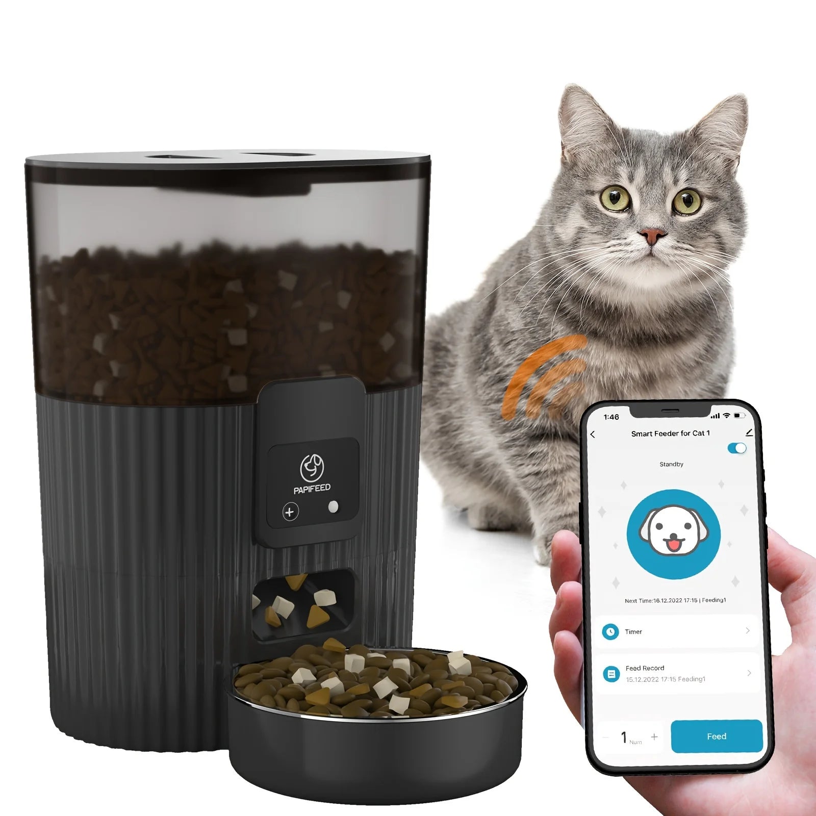 Smart pet feeder with a cat and a smartphone app on a white background