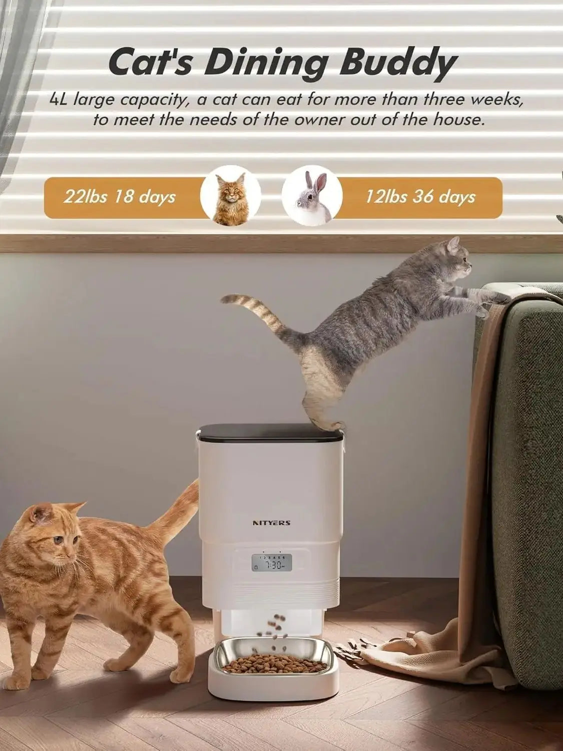 Cat's Dining Buddy pet feeder with two cats interacting in a home setting