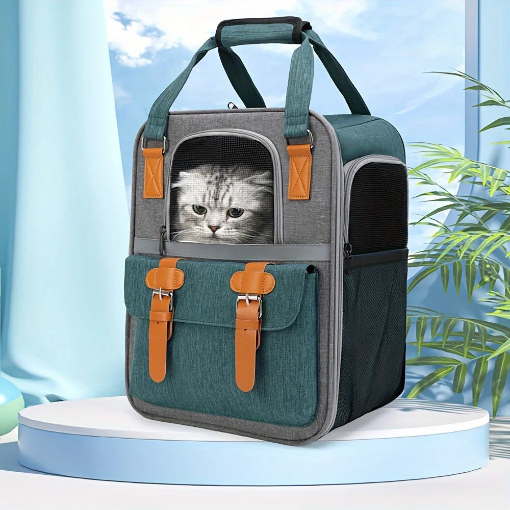 Pet carrier with a cat peeking out, set against a light blue background with plants.