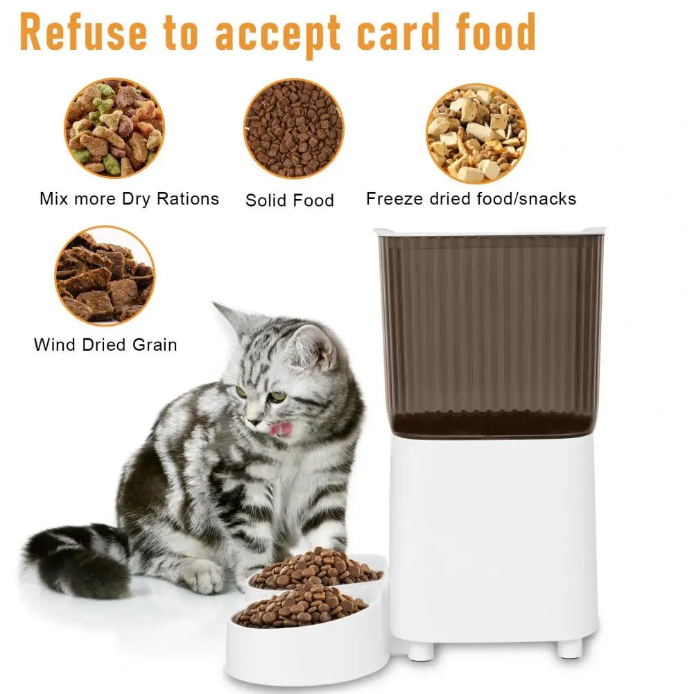 Cat sitting next to a food dispenser with various food types displayed above.