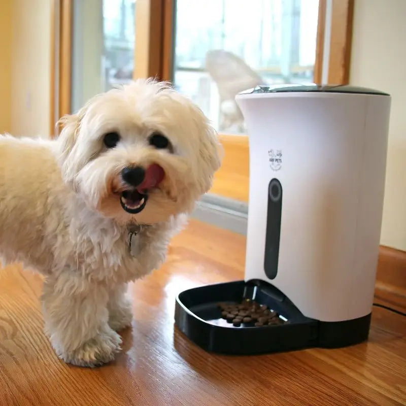 Small white dog standing next to a pet food dispenser on a wooden floor.