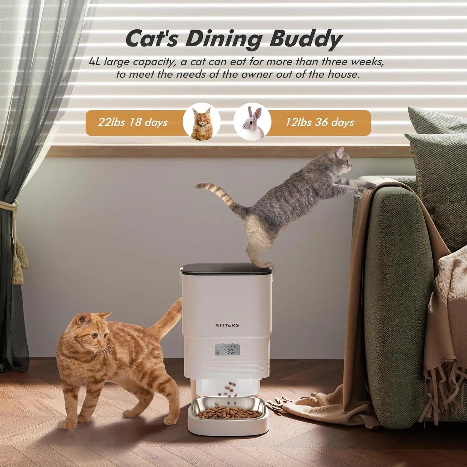 Cat's Dining Buddy pet feeder with two cats in a home setting