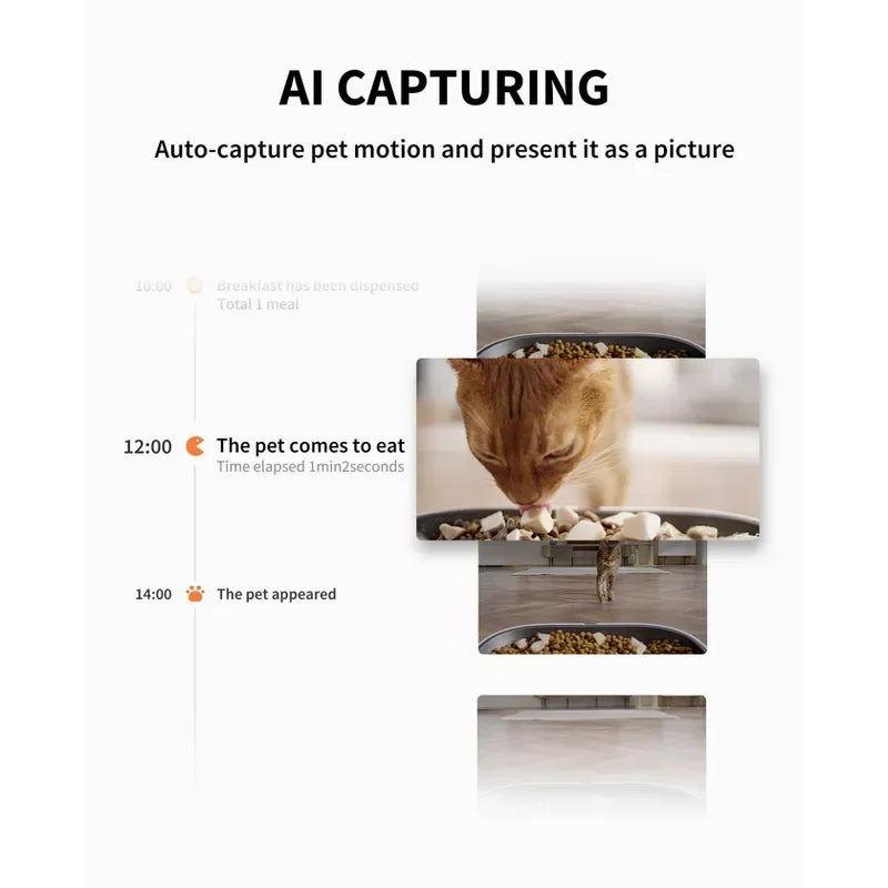Cat eating from a bowl with text about AI capturing pet motion.