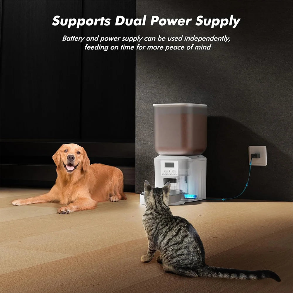 Dog and cat looking at a pet feeder with dual power supply feature.