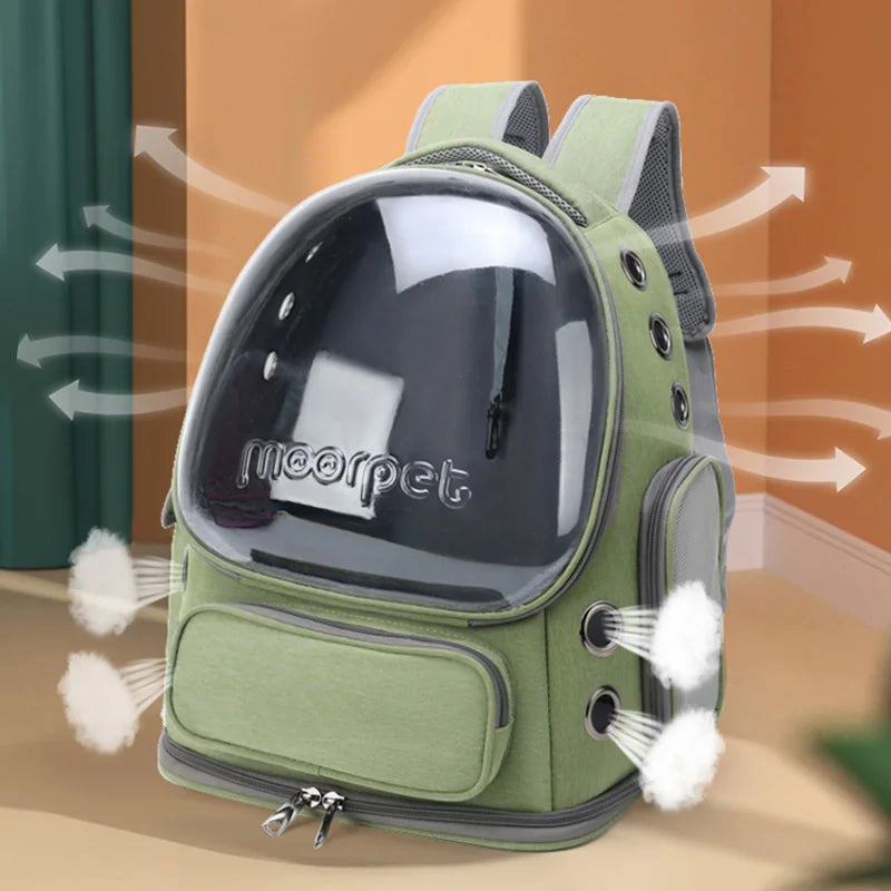 Green pet backpack with transparent front panel on a blurred background