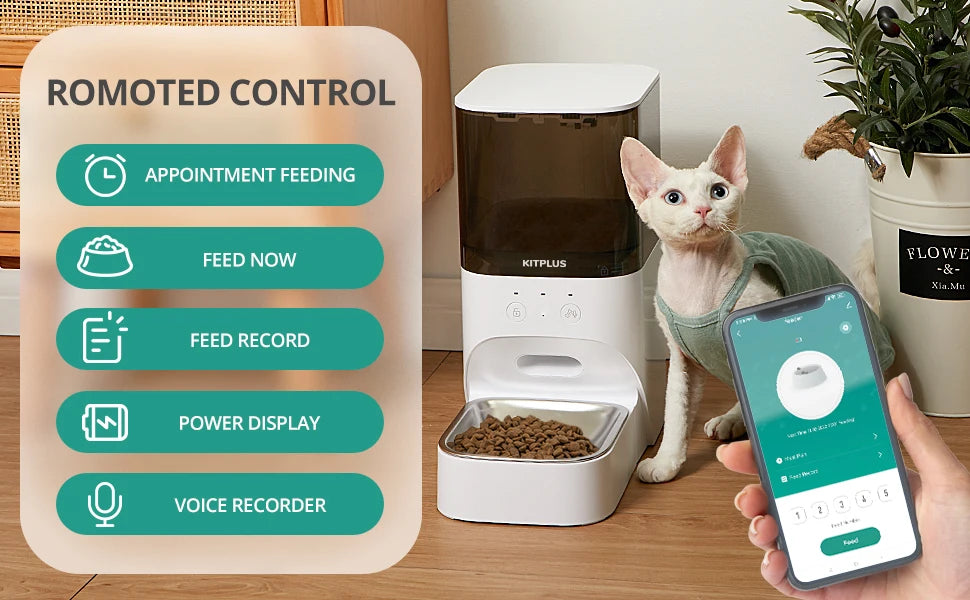 Pet feeder with smartphone app and cat in a home setting