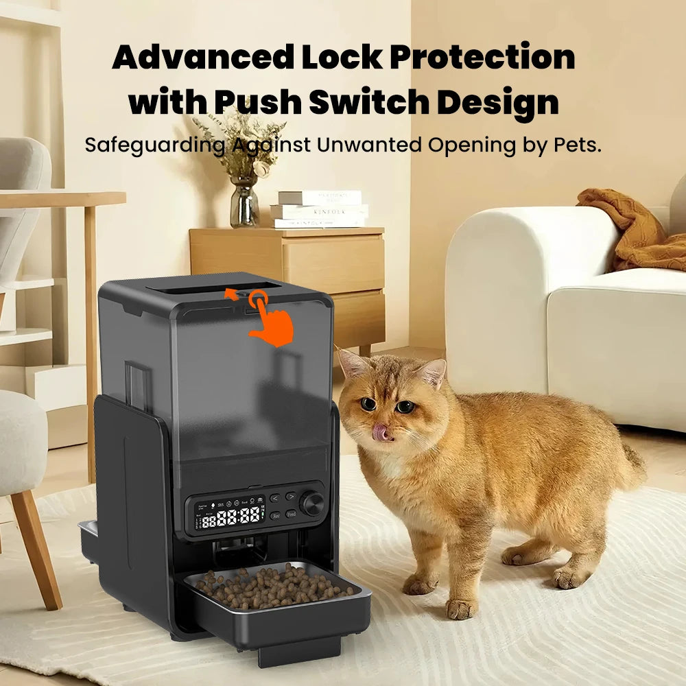 Cat standing next to a black pet feeder with push switch design in a living room.