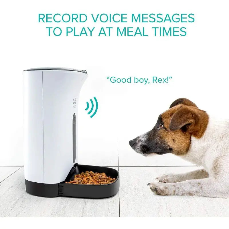 Pet feeder with a dog and text about recording voice messages for meal times