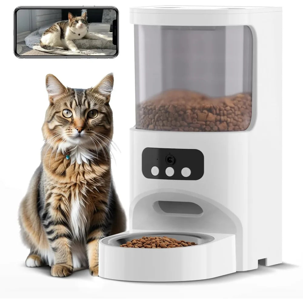 Cat sitting next to a white pet feeder with food inside, on a white background.