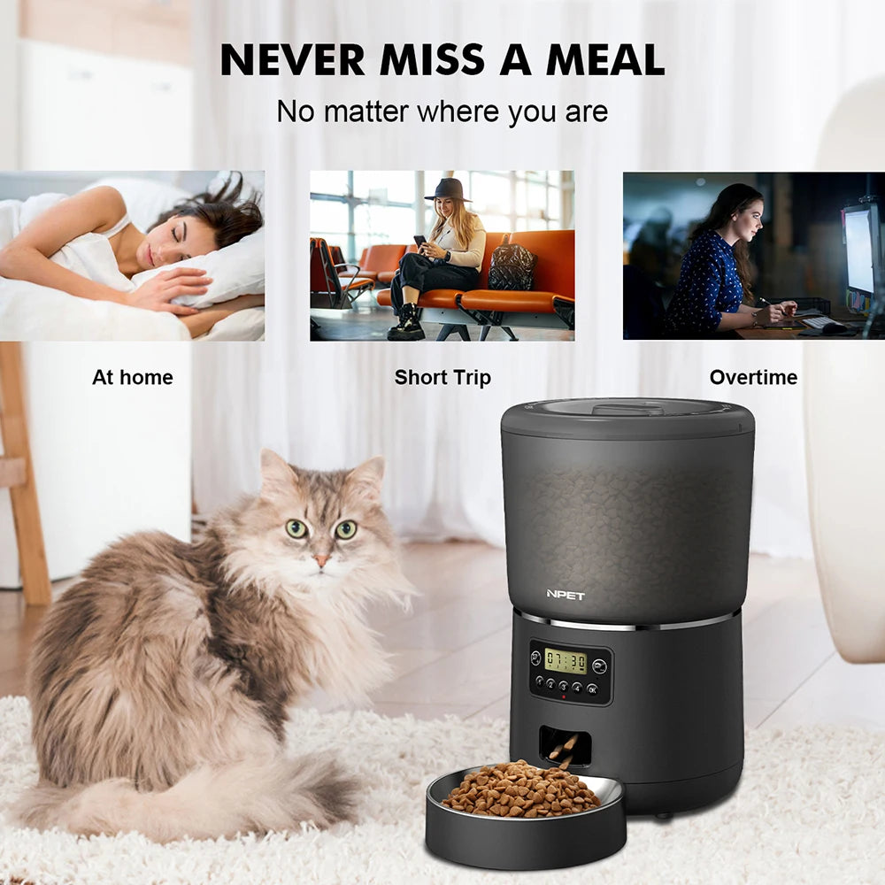 Cat sitting next to a black pet feeder with text 'Never miss a meal' and scenarios at home, short trip, and overtime.