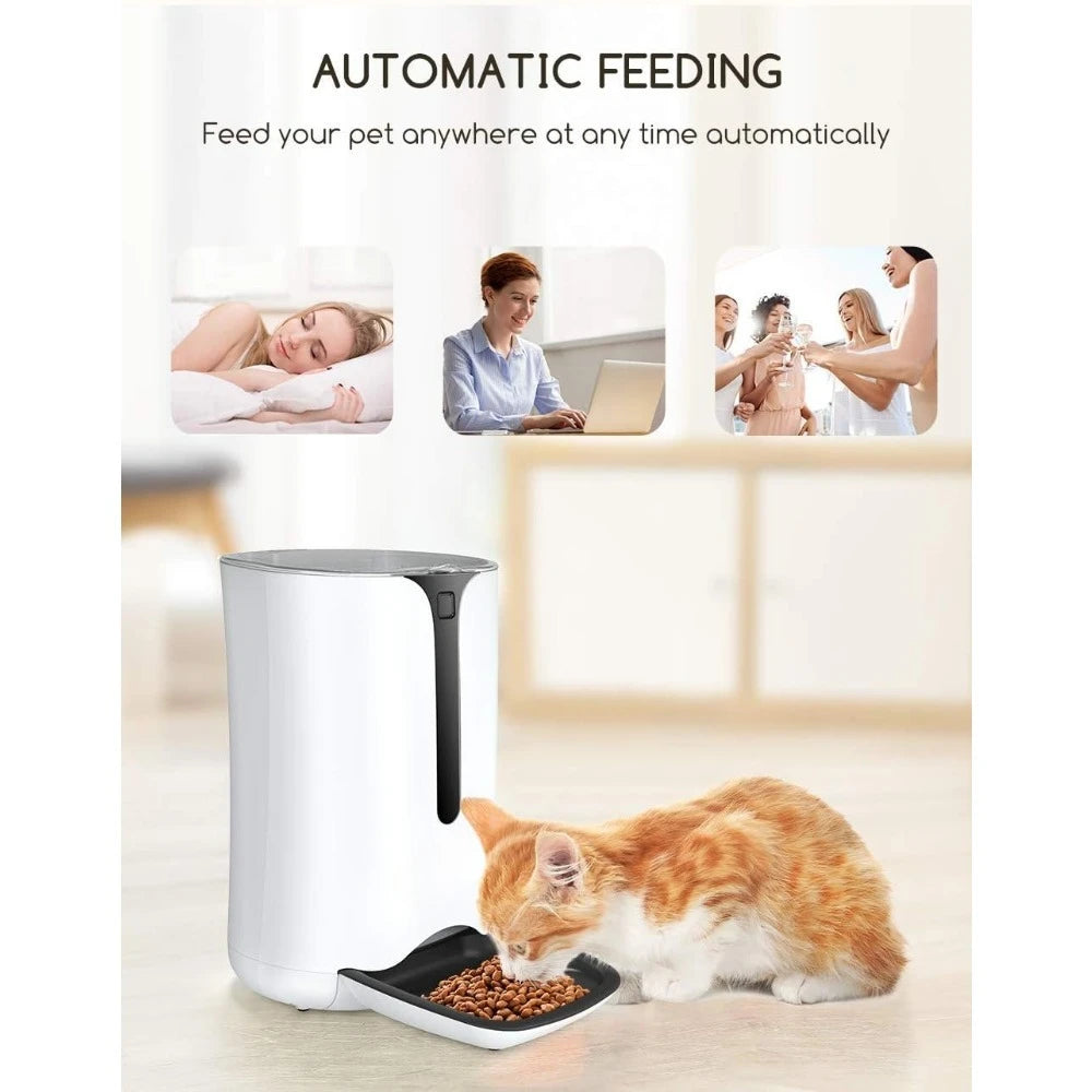Automatic pet feeder with a cat eating, shown in a home setting.