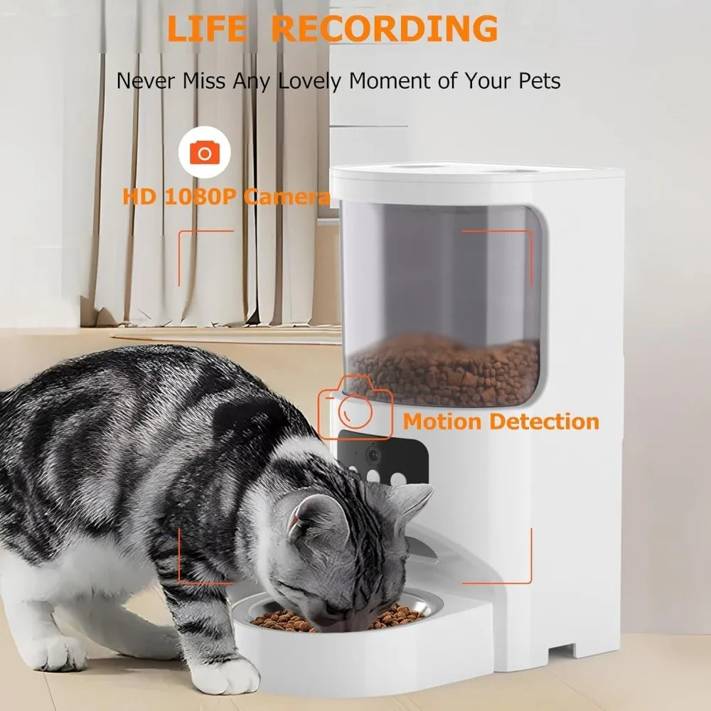 Cat eating from a food bowl with a pet camera and feeder in the background