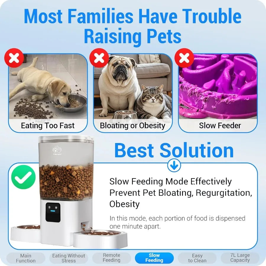 Advertisement for a pet feeding device with text about preventing pet issues and highlighting the product's features.