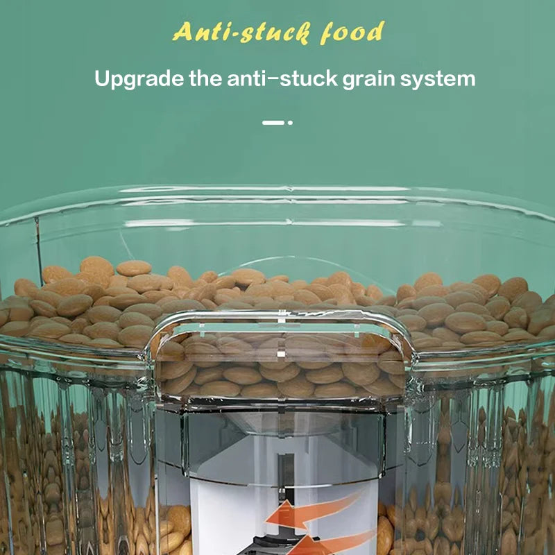 Clear container with pebbles and text about anti-stuck food system on a green background