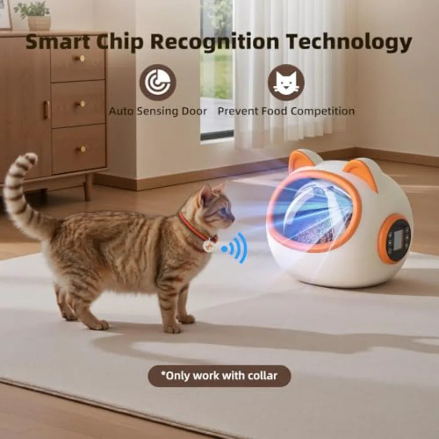 Cat interacting with a smart pet device in a home setting