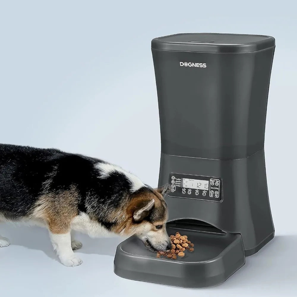 Dog eating from a black electronic pet feeder on a light blue background