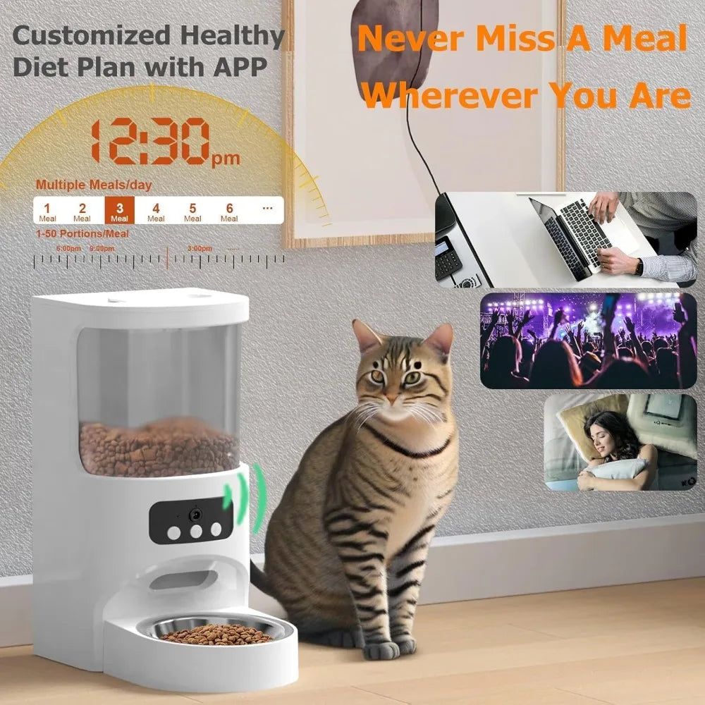 Cat next to a pet feeder with lifestyle images and text about a diet plan and app.