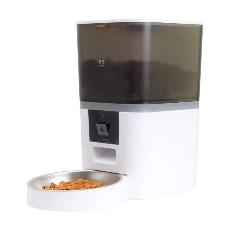 Pet food dispenser with a transparent top on a white background