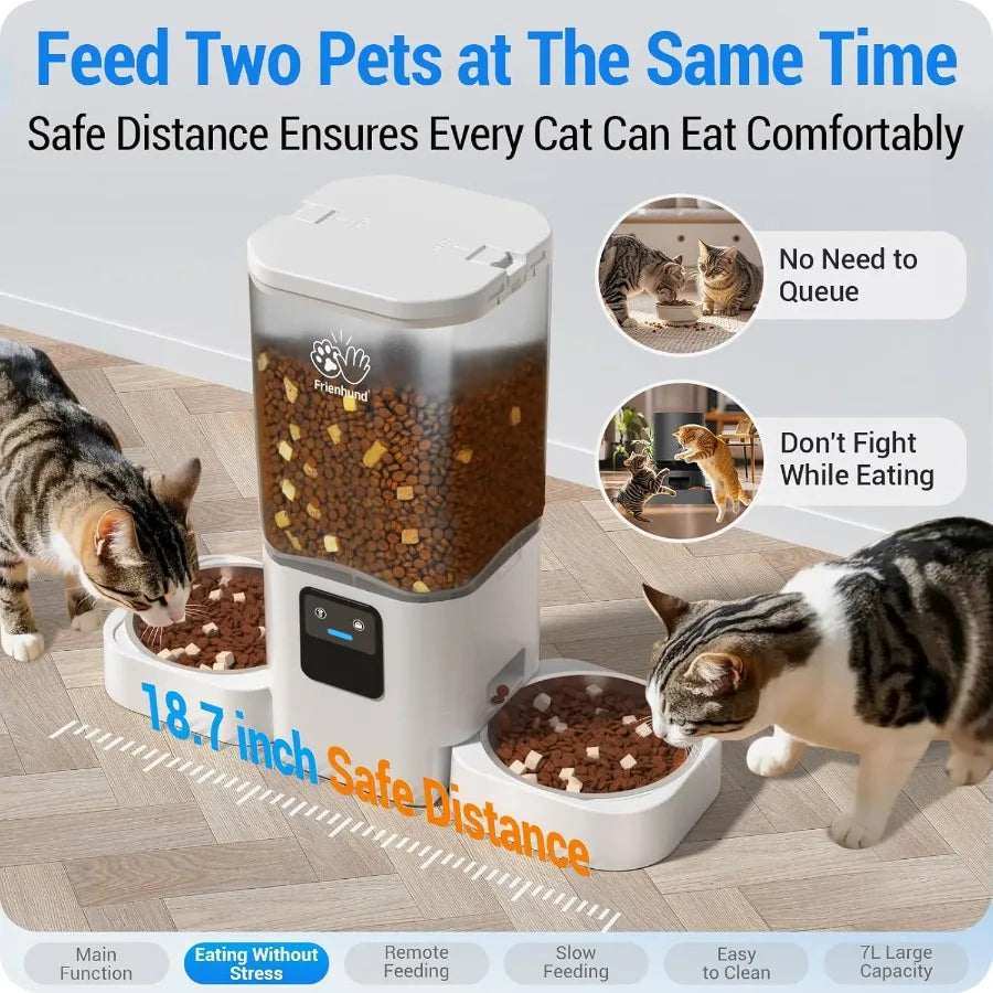 Pet feeder with two cats eating, featuring text about feeding two pets at once and comfort.
