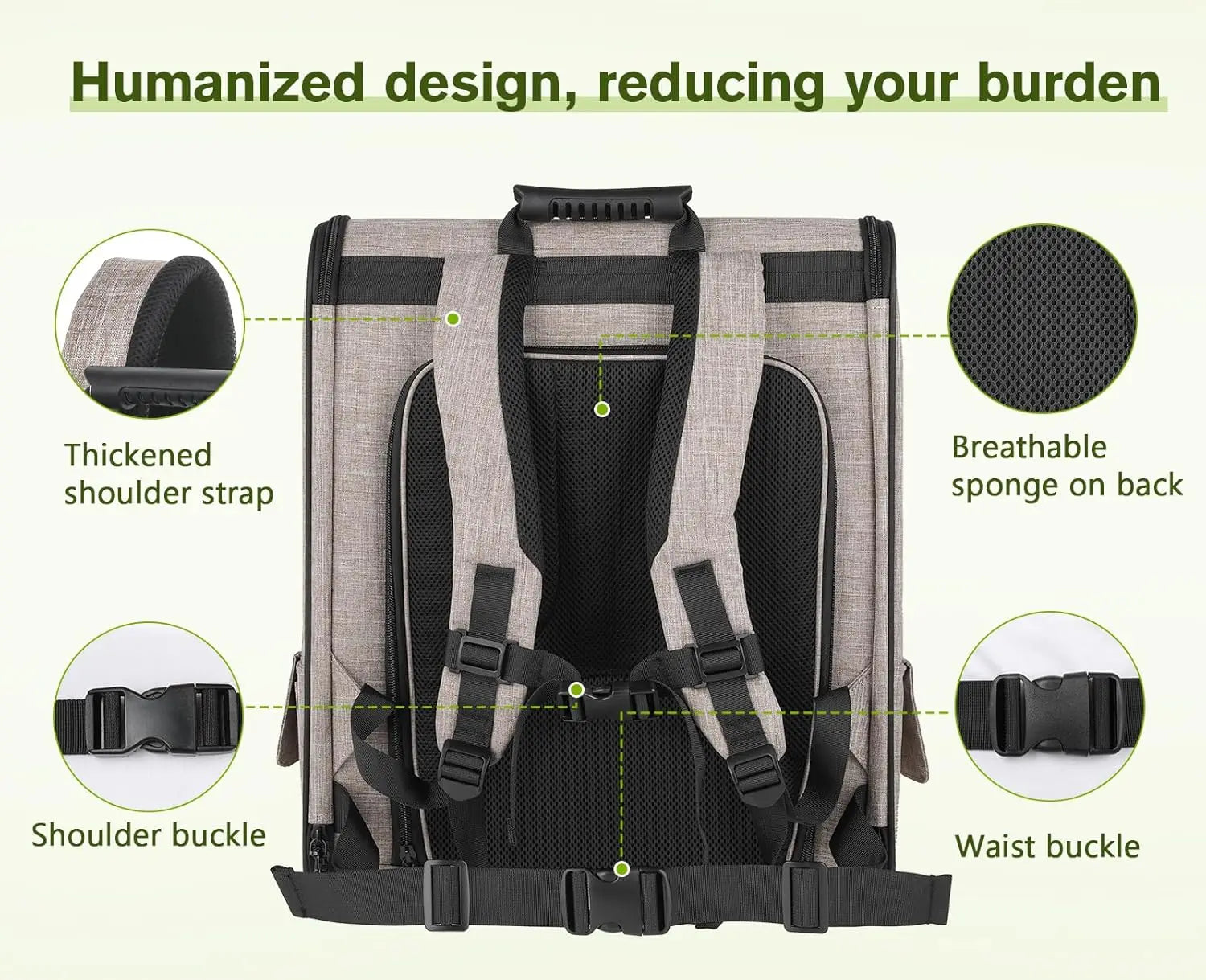 Backpack with highlighted features on a light green background