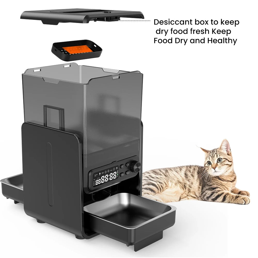 Pet feeder with desiccant box and a cat lying next to it on a white background