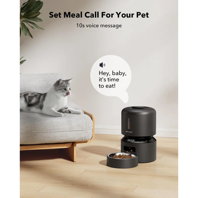 Pet feeder with voice message feature next to a cat on a couch