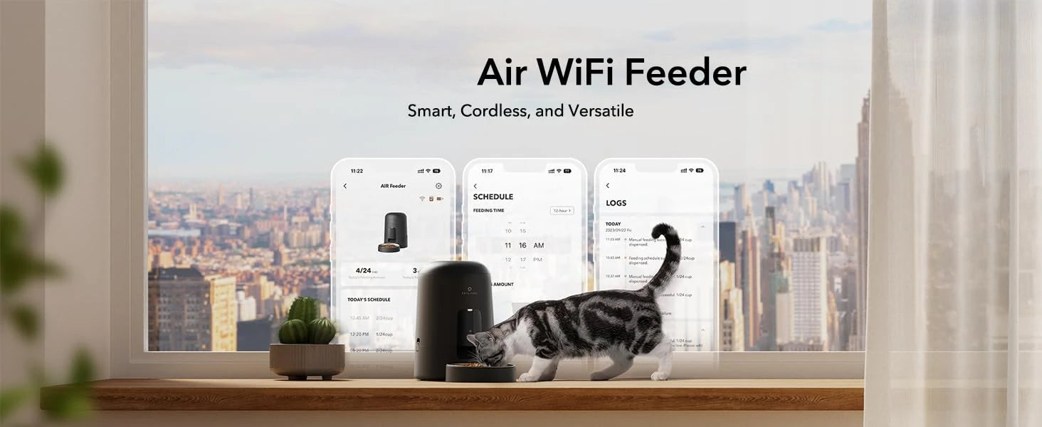 Air WiFi Feeder with a cat in front of a window with a cityscape view