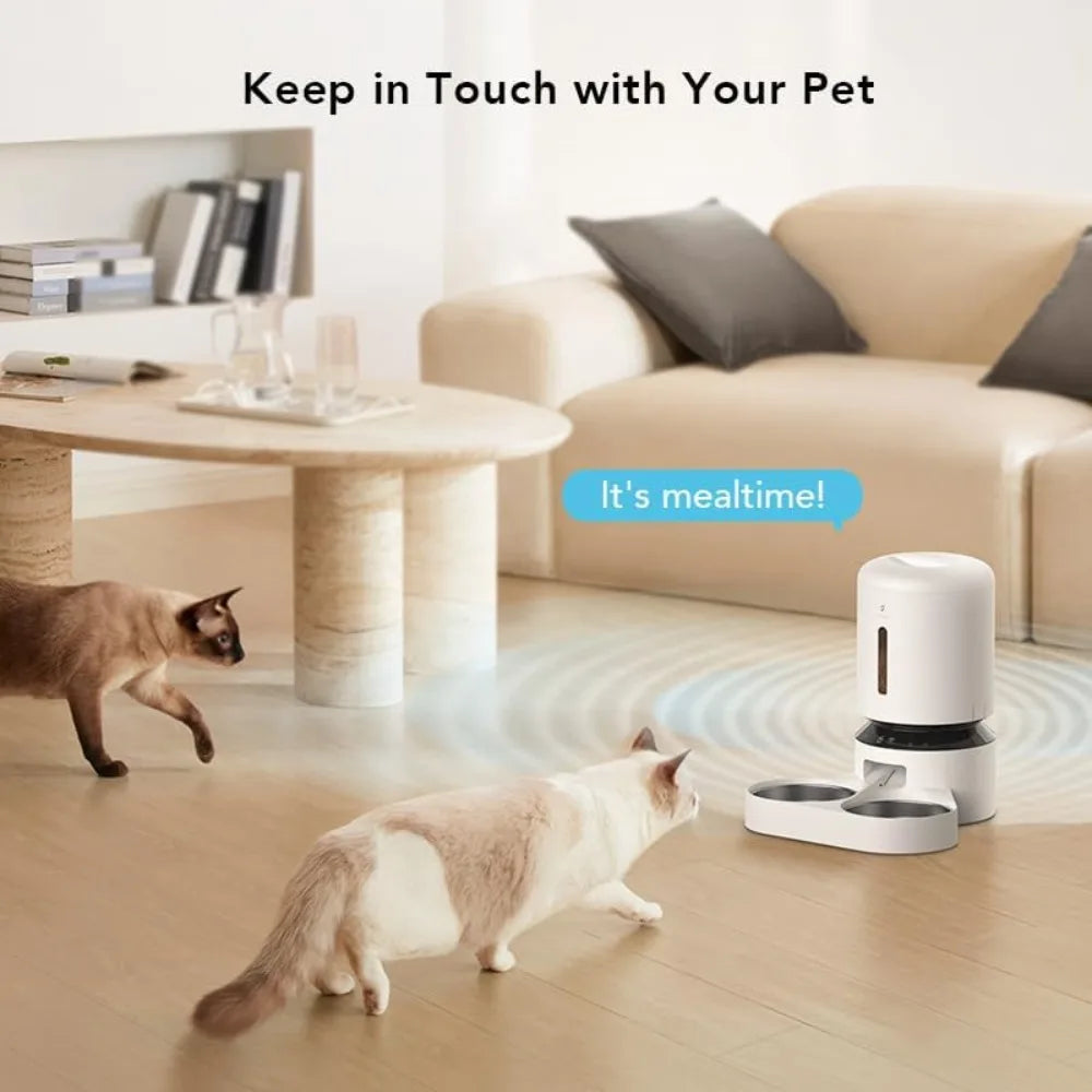 Two cats approaching a self-feeding pet bowl in a living room setting with text 'Keep in Touch with Your Pet' and 'It's mealtime!'.