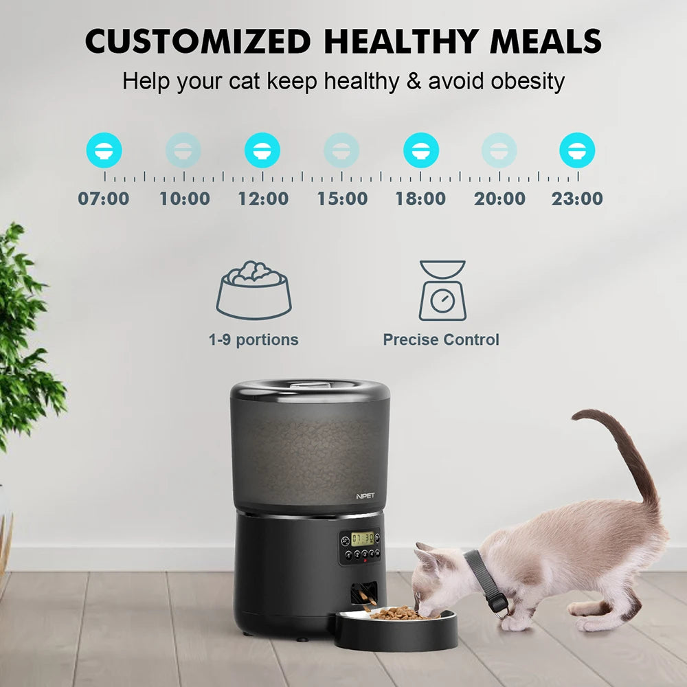 Cat eating from an automatic feeder with a white background