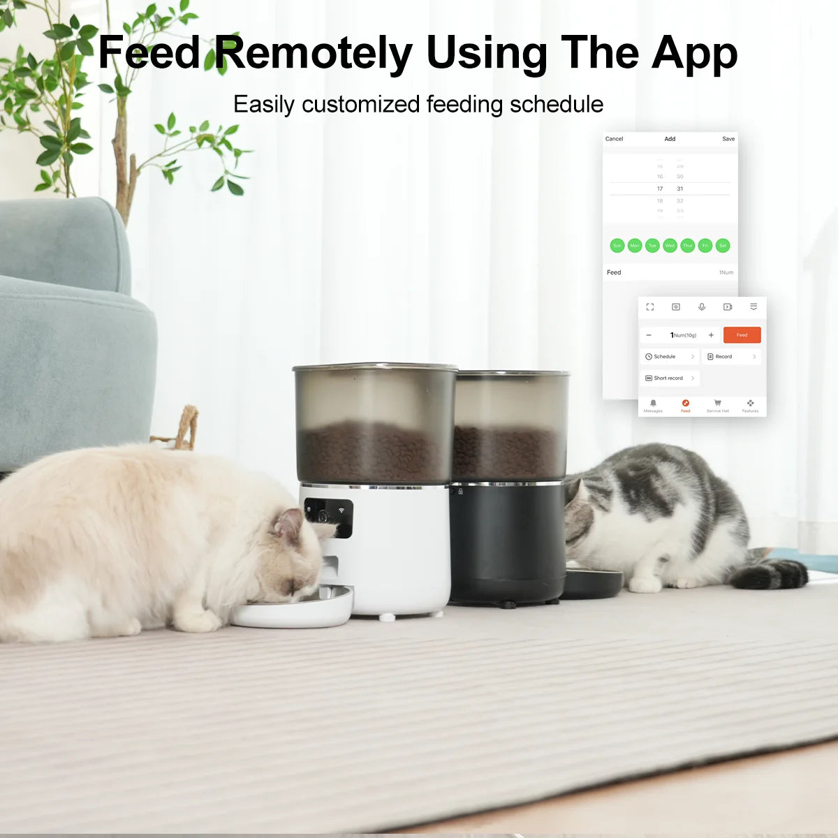 Two cats using a pet feeder with remote app control on a living room floor.