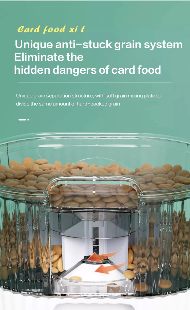 Card food xi t product with text on a green background