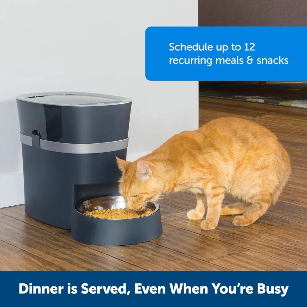 Cat eating from a blue automatic pet feeder on a wooden floor.