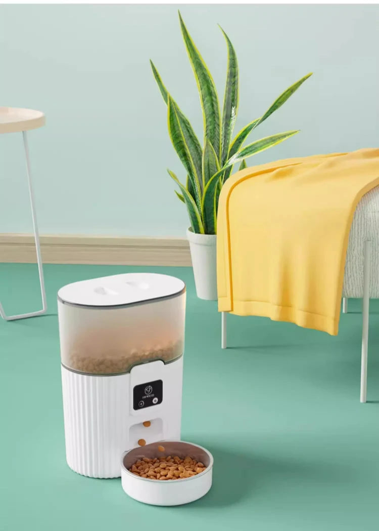 White pet feeder on a green surface with a plant and yellow blanket in the background