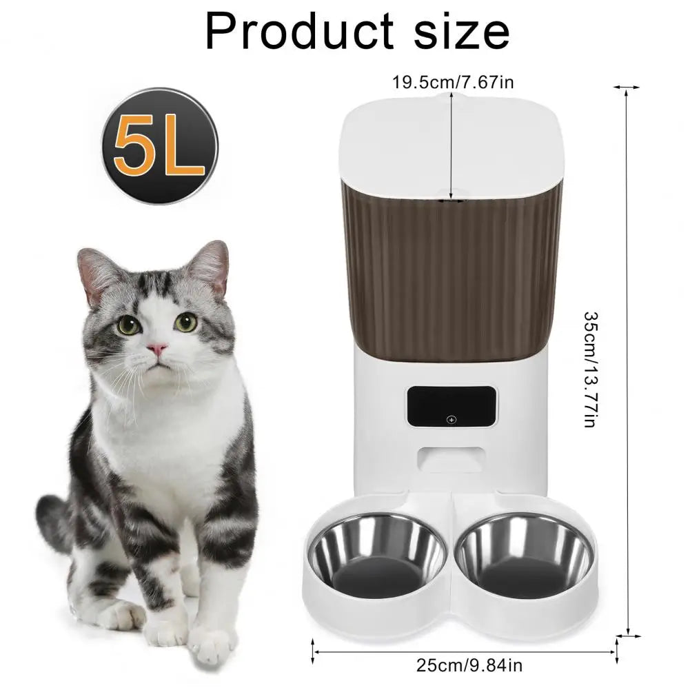 Pet feeder with dimensions and a cat next to it