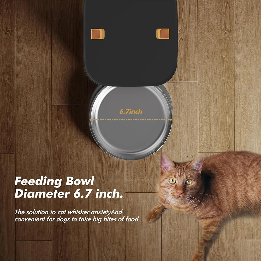Cat feeding bowl with dimensions on a wooden floor, featuring a cat.