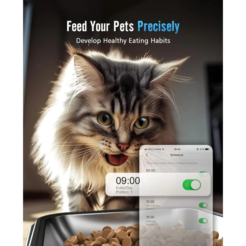 Cat looking at a smartphone app interface with text 'Feed Your Pets Precisely' and 'Develop Healthy Eating Habits'.
