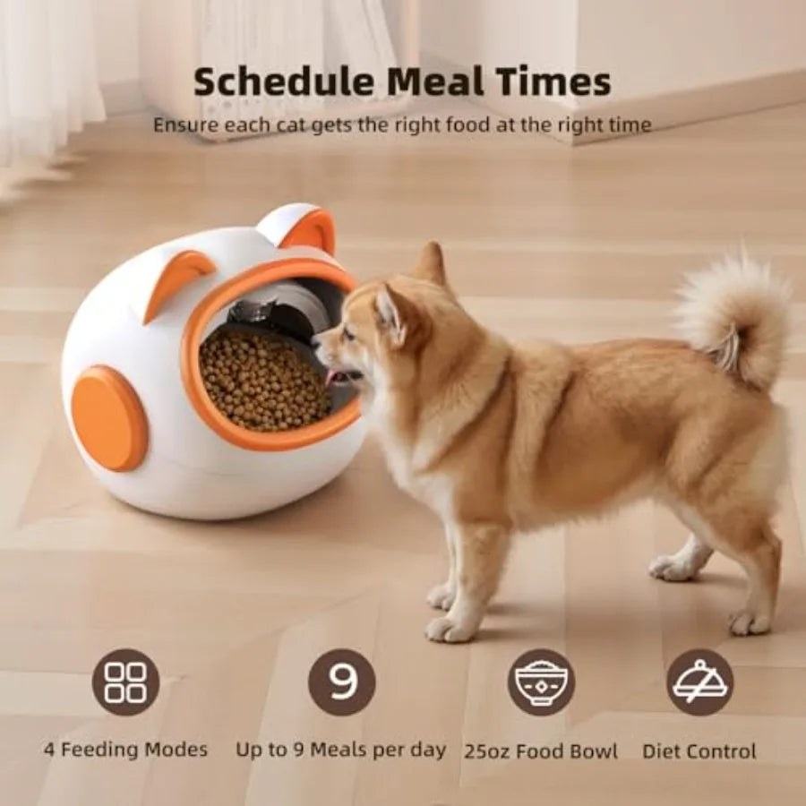 Dog interacting with a pet feeding device on a wooden floor.