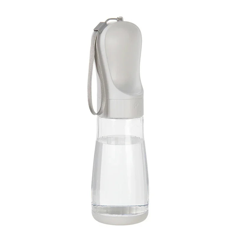 Clear water bottle with a gray cap and handle on a white background
