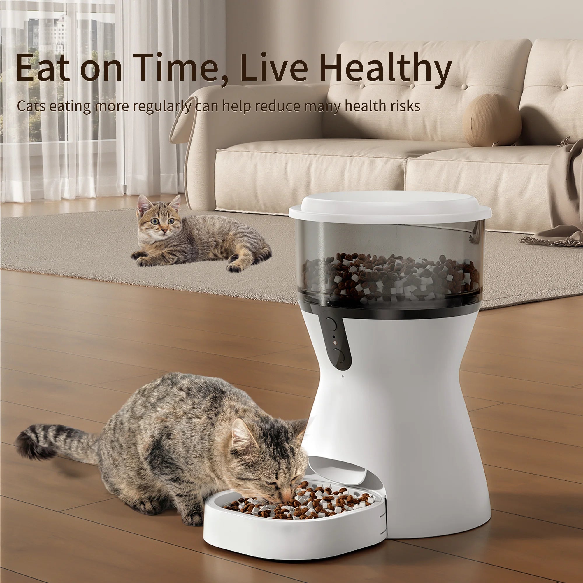 Cat eating from a white pet feeder with text about feeding habits on a wooden floor.
