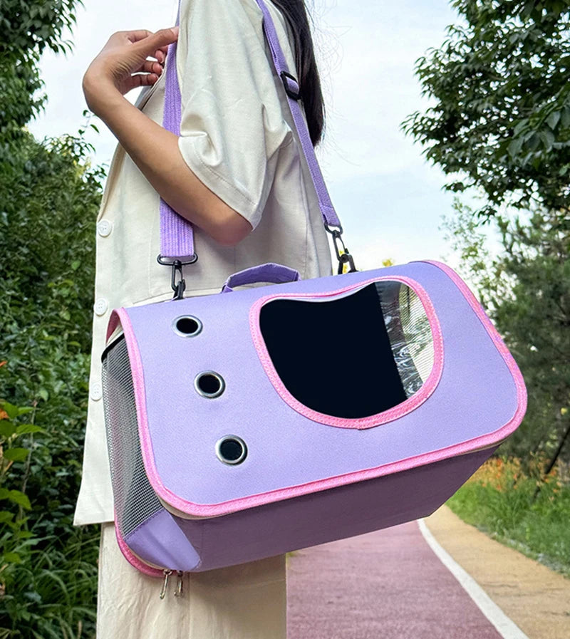 Person holding a purple pet carrier with a pink trim outdoors.