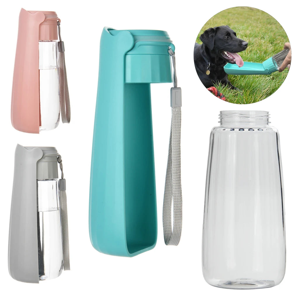 Set of four water bottles in different colors with a dog drinking from a blue bottle in the background.