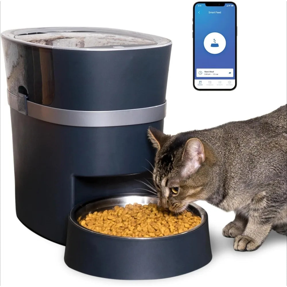 Cat eating from a black pet feeder with a smartphone displaying an app interface.